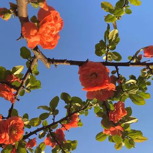 大丁丁插女人阴部视频
