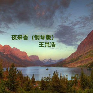 大丁丁插女人阴部视频
